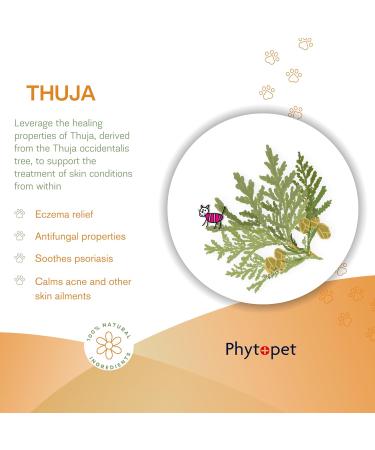 Phytopet THU100 Thuya 100 ml Pet / Herbal - Buy Online on GoSupps.com