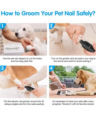 BDJ Upgraded Dog Nail Grinder with 2 LED Lights | Electric Rechargeable Pet Nail Trimmer for Dogs & Cats | 3-Speed, Powerful & Painless Grooming Tool in Black - Buy Online on GoSupps.com