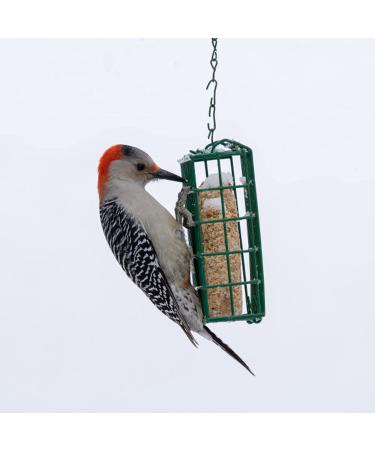 C&S Wild Bird Double Suet Basket  2.7" D x 5.3" W x 5.2" H - Buy Online on GoSupps.com