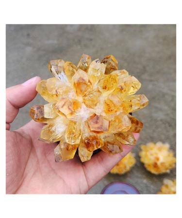 Natural Crystal Rough Raw Citrine Natural Quartz Stone Crystal Cluster Yellow Specimen Home Decoration Decoration (Color : A Yellow Size : 200-300g) 200-300g A Yellow
