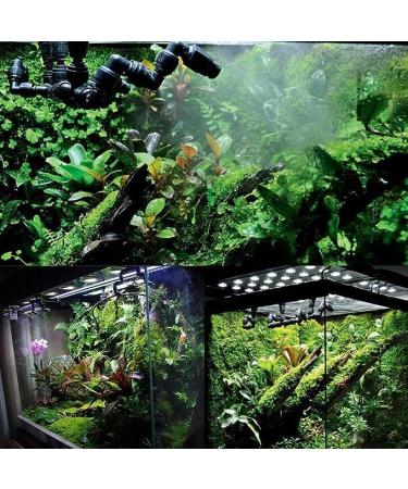 Zerodis Reptile Mist Sprinkler System - Adjustable Cooling Nozzle for Tropical Forest Tanks - Buy Online on GoSupps.com
