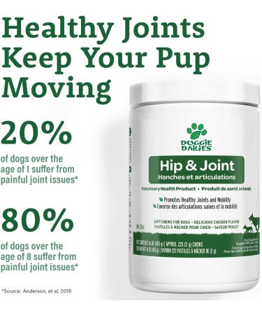 Doggie Dailies Glucosamine for Dogs - 225 Chews - Joint Supplement for Dogs of All Breeds & Sizes - Hip and Joint Supplement for Dogs - Premium Glucosamine and Chondroitin for Dogs Chicken - Buy Online on GoSupps.com