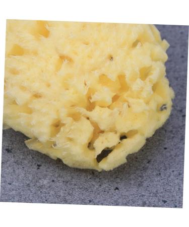 POPETPOP Sponges Bath Sponge Shower Sponge Seaweed Sponge Algae Sponge Baby Aldult - Buy Online on GoSupps.com