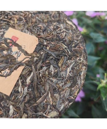 HQZM Isaacct Pat Dim Dinkazed I was Nunted Salah without Salat Ham Ephlaalc  - Buy Online on GoSupps.com