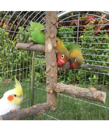 Natural Wood Bird Perch Stand for 3-4 Small/Medium Parrots - Birdcage Accessories - Buy Online on GoSupps.com