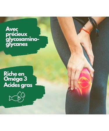 New Zealand Green Orle Mussels 1500 mg - Omega 3 and Glycosaminoglycans - 300 Capsules of Green Orle Mussel Powder No Additives - Buy Online on GoSupps.com