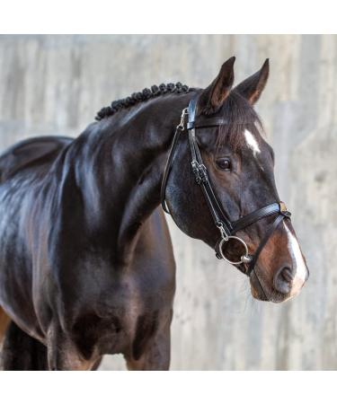 Sunride English combined bridle berlin with reins made of soft real leather with clip closure adjustable and anatomical (cob black) COB black