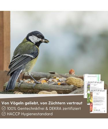 Fleim ller Wild Bird Feed 5kg | High-Quality Grain Mixture Dust-Free & Additive-Free for Year-Round Feeding - Buy Online on GoSupps.com