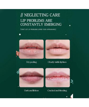 Lip Balm Variety Pack 6 Pieces Hydrating Lip Balm Set with Fruit Flavors Perfect Holiday Gift Box Multicolor One Size One Size Multicolor - Buy Online on GoSupps.com