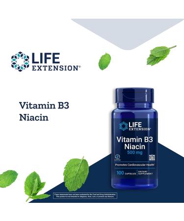 Life Extension Vitamin B3 Niacin 500mg - 100 Capsules for Energy & Metabolism - Buy Online on GoSupps.com