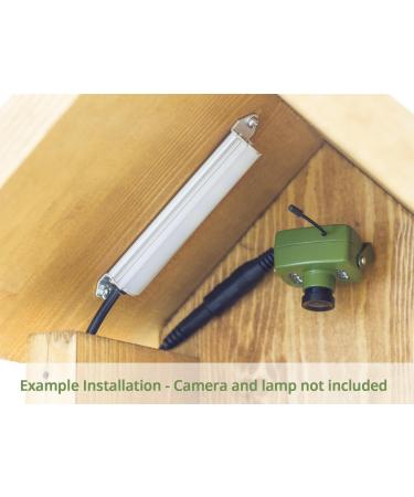 Green Feathers Large Wooden Deluxe Bird Box - Waterproof & Ventilated - 32mm Hole - Ideal for Variety of Birds - Easy Installation - Buy Online on GoSupps.com