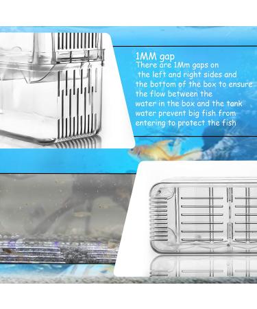 Fortune-Star Fish Breeding Box - Aquarium Hatchery Incubator & Breeder Tank - Buy Online on GoSupps.com