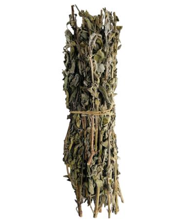 AgoraMarket Wild Greek Sage Herbal Tea Whole Bunch 220g 195Kg Premium Quality Salvia Triloba 220 grams