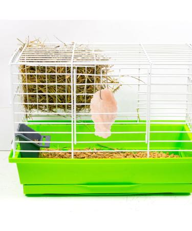 CIYODO Pet Saline Rabbit Salt Licking Blocks Pet Salt Blocks Rabbit Supply Lick Salt Blocks Mineral Saline - Buy Online on GoSupps.com