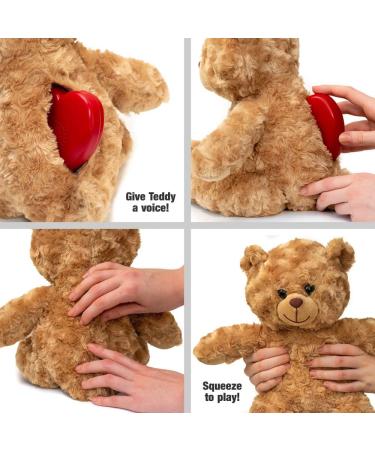 Voice Recordable Heart Button - 2 Minute Talking Plush Toy for Personalized Memory Bear or Baby Heartbeat Keepsake (Red) - Buy Online on GoSupps.com