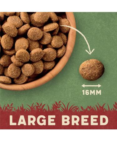 Harringtons Complete Large Breed Dry Adult Dog Food Chicken & Rice 14kg - Made with All Natural Ingredients Harringtons Large Breed Chicken 14kg Single - Buy Online on GoSupps.com