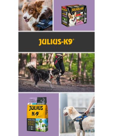Julius-K9 - Lamb & Rice - Hypoallergenic Dog Food for Puppies and Young Dogs - Lamb and Rice Based Dog Food - 3kg - Buy Online on GoSupps.com