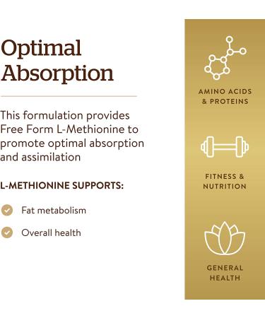 Solgar L-Methionine 500mg Capsules - Antioxidant Booster for Fat Metabolism - Vegan, Gluten-Free, Dairy-Free, Kosher - 90 Servings - Buy Online on GoSupps.com