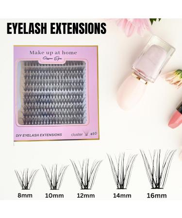 40D False Eyelashes - 240 Pieces Natural Black Individual Lash Extensions | Reusable Wispy & Natural Look (8-16mm Mix - Buy Online on GoSupps.com