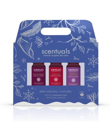 Fragrance Essential Oils Blend Gift Set (Winter Set 3X 10ml / 3X 0.34fl.oz) Winter Set 1.02 Fl Oz (Pack of 1)
