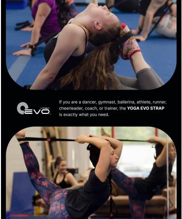 YOGA EVO Exercise Band with Loops for Physical Therapy and Flexibility - Strong Elastic Fitness Stretch Band with Instructions & Carry Bag - Buy Online on GoSupps.com