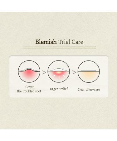 SKINFOOD Cica Clear Spot Patch (110 Count) - Hydrocolloid Acne Treatment Stickers for Spot Recovery & Clear Skin Care - Buy Online on GoSupps.com