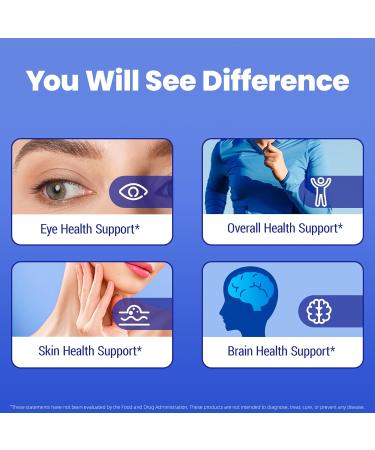 2 in 1 Enhanced Formula: Vitamin B1 with Benfotiamine 500mg, Fat Soluable Supplement of Vitamin B-1, 500 mg - 120 Capsules (3) - Buy Online on GoSupps.com