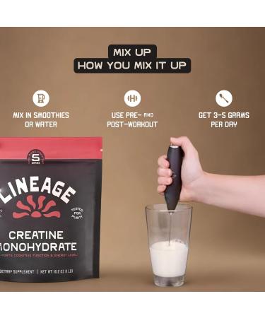 Lineage Provisions Micronized Creatine Monohydrate with Sea Salt - Micronized Creatine Powder for Training & Performance No Artificial Ingredients 90 Servings - Buy Online on GoSupps.com