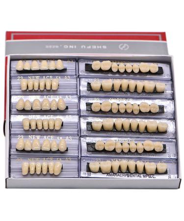Angzhili Dental Synthetic Acrylic Resin False Teeth for Halloween Horror Teeth Denture Teeth Sets Shade A3 Upper And Lower Acrylic Teeth Sets(168pcs)