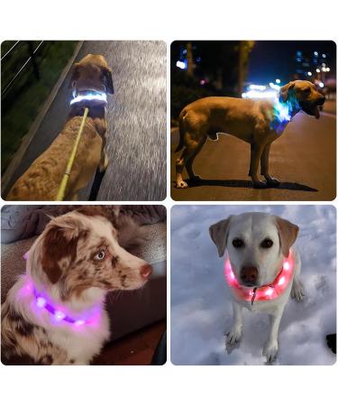 Buy Nepfaivy LED Dog Collar - USB Rechargeable Waterproof Adjustable Length 3 Lighting Modes for Safety - Red Silicone - Buy Online on GoSupps.com