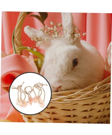 Levemolo 5pcs Animals Salt Cattle Salt Lick Salt for Animals Licking Salt Brick Pet Rope - Buy Online on GoSupps.com