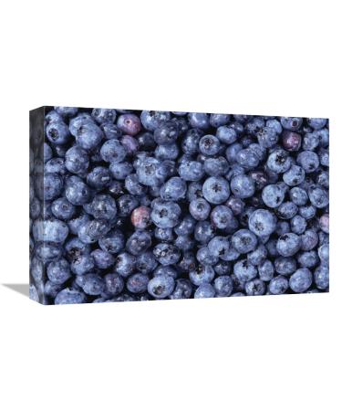 12 x 18 in. Bilberry Group North America Art Print - Gerry Ellis