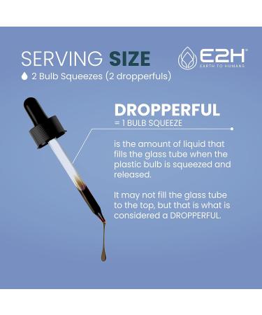 E2H Natural Black Currant Extract Cold Pressed Black Currant Seed - Immune System Health - Fast Absorbing Liquid (2 Bottles) 2 Fl Oz (Pack of 2) - Buy Online on GoSupps.com