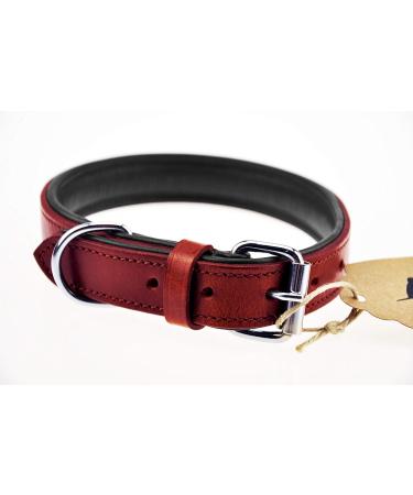 Premium XXL Leather Dog Collar - Padded & Robust Ideal for Large Medium & Small Dogs - Sniffing Fans Design in Red - Buy Online on GoSupps.com