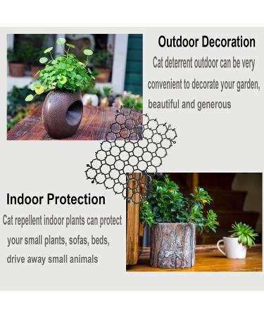 Set of 12 HZXMKB Cat Repellent Outdoor Indoor Scat Mats - Garden Plastic Spikes Scratch Network - Stop Dogs and Cats - Animal Barrier - Buy Online on GoSupps.com