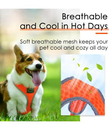 ThinkPet No-Pull Dog Harness & Leash Set - Breathable Adjustable Safe Control for Small Medium & Large Dogs - Reflective Padded Orange (1 Pack) - Buy Online on GoSupps.com