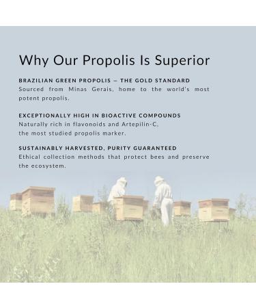 PALO Propolis Throat Spray Bee Brazilian Green Propolis Extract Natural Immune Support & Sore Throat Relief - Antioxidants Keto Paleo Gluten-Free (1.06 oz | 30 ml) (Extra Strenght) Extra Strength with Peppermint - Buy Online on GoSupps.com