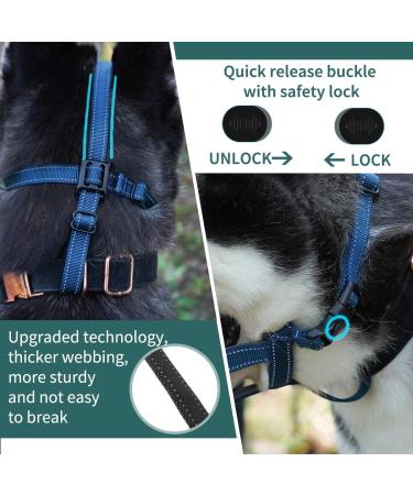 Silicone Dog Muzzle - Soft Cage Design for Small Medium & Large Dogs | Prevents Biting & Chewing | Fits German Shepherd (Snout 6 -7 ) - Blue - Buy Online on GoSupps.com