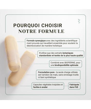 Nullure Powerful and Fast Natural Liver Detox | Colon and Intestine | Milk Thistle + Dandelion + Probiotics + Turmeric + Ginger + Fennel | Vegan | 120 Capsules (2 Months) - Buy Online on GoSupps.com