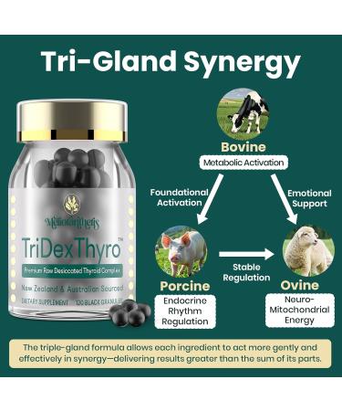 Thyroid Supplement TriDexThyro Raw Desiccated Thyroid Complex 375 mg with Bovine Porcine & Ovine 120 Capsules for Women and Men(2 Pack) 3.37 Ounce (Pack of 2) - Buy Online on GoSupps.com