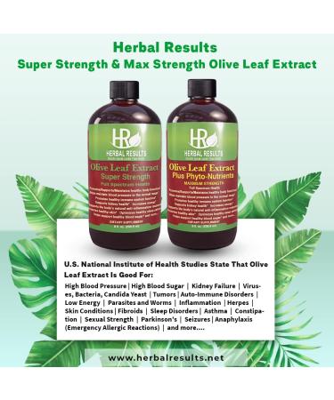 Super Strength Olive Leaf Extract Liquid - 8oz Herbal Supplement for Immune Support & Health Remedies - Buy Online on GoSupps.com