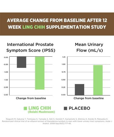 Prostate Plus Supplement | Saw Palmetto, Lycopene & Reishi Mushroom for Men's Prostate Health - Buy Online on GoSupps.com