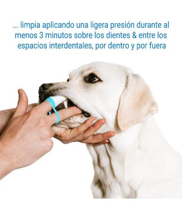 Bogadent Anti-Plaque Fingers for Dogs - 2 Pack | Effective Dental Care for Adult Dogs | International Shipping Available - Buy Online on GoSupps.com