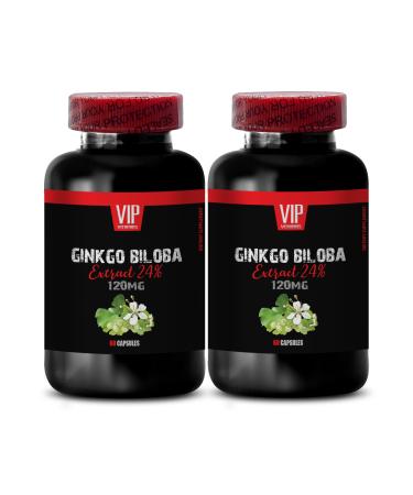 Ginkgo BILOBA Extract - Sharpens Your Daily Focus Ginkgo Biloba Energy Ginkgo Biloba Extract Supports Focus and Clarity Natural Brain Energy Clear Decision-Making Sharper Thinking 2Bot