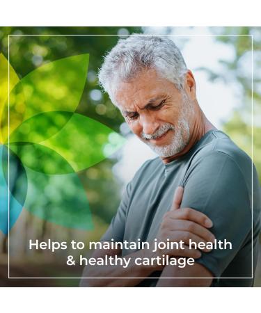 Synergy Holistics | Joint Synergy - Joint Support with BioCell Collagen - Glucosamine Chondroitin Hyaluronic Acid MSM and Boswellia - Collagen Type 2 Supplement for Joints - Enhanced Cartilage Maintenance - 180 Veg Caps - Buy Online on GoSupps.com