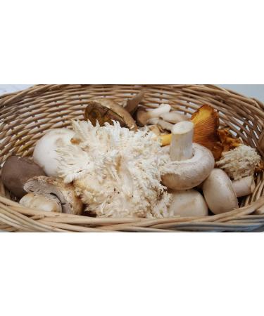 Buy Mynatura Organic Hericium Medicinal Mushroom Powder - 200g | Premium Quality & International Shipping - Buy Online on GoSupps.com