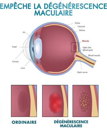 Lutein for Eyes | Lute n + Zeaxanthin + Blueberry | Optimize and Protector of Vision | Strengthens Eye Tissue | Improve Vision | Eye Health Treatment | 60 Capsules - Buy Online on GoSupps.com