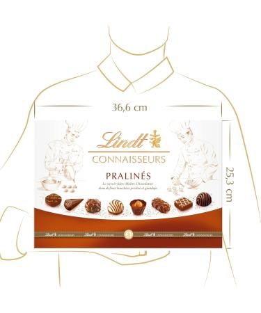 Lindt - Box of Praline Connoisseurs Assorted Milk Chocolates and Praline Black Ideal for Christmas 410 g - Buy Online on GoSupps.com