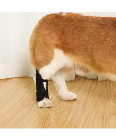 Dog Rear Leg Brace Pet Protective Gear Dog Leg Injury Antilicking Fixed Straps Pet Hind Leg Aid Recovery Straps Dog Knee Brace Spring Support Dog Rear Leg Brace (XL) - Buy Online on GoSupps.com