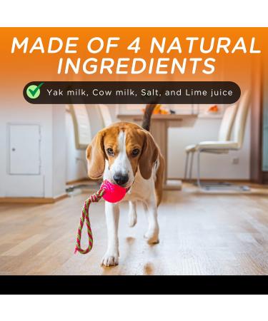 Only One Treats Yak Cheese Dog Chew for Pet s Dental Health Natural and Long-Lasting Himalayan Yak Snak for Dogs of All Ages and Sizes Medium Himalayan Dog Chew and Puppy Teething Treats (6x75g) 6 Medium - Buy Online on GoSupps.com